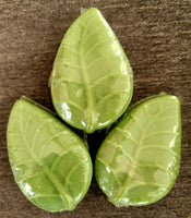 Melon Leaf Soap Bar